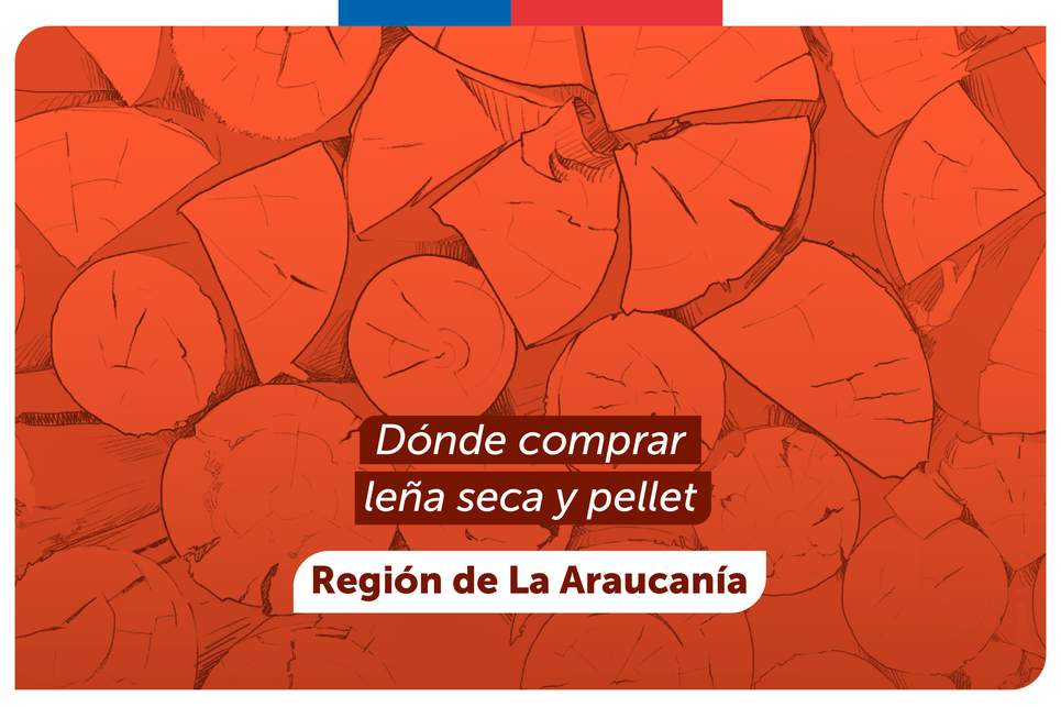 ¿Pellets o Leña? 🚮 ¿La Crisis de la Calor se Acabó en La A...