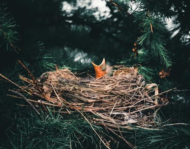 🚩 ¿Cuántas empresas de tu red se están jugando a la ruleta rus...