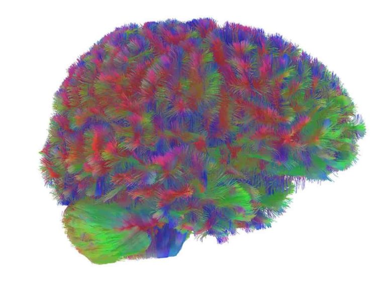 ¿De verdad creen que su cerebro está listo para esto?...