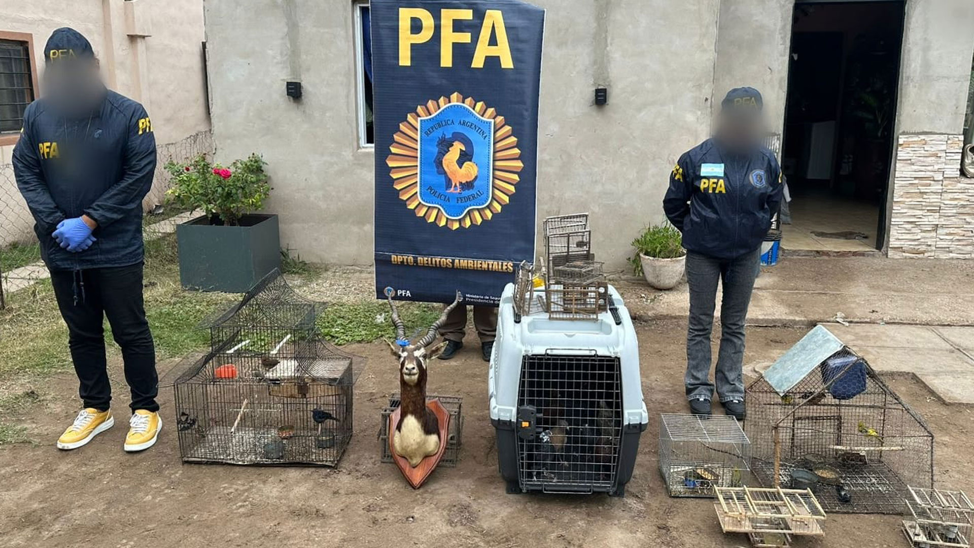 🚨 ¿Los Gobiernos Rescatan Aves o Solo Se Comen el Dinero?<...