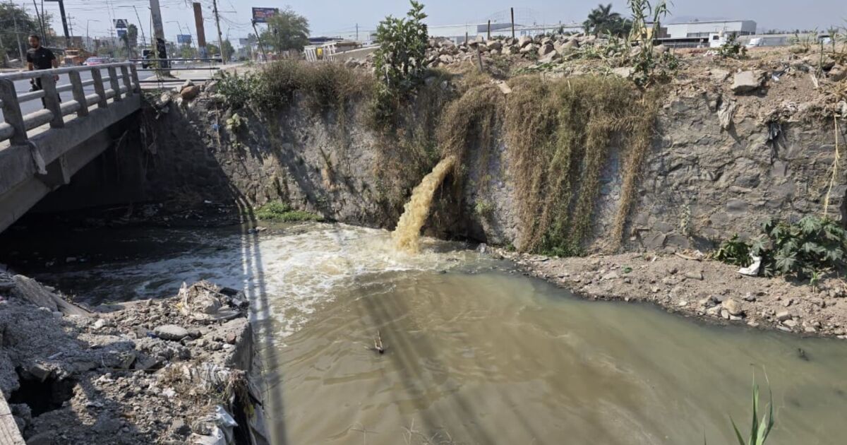 ¿Agua Limpia o Descargas? ¡La Verdad sobre el Arroyo El Se...