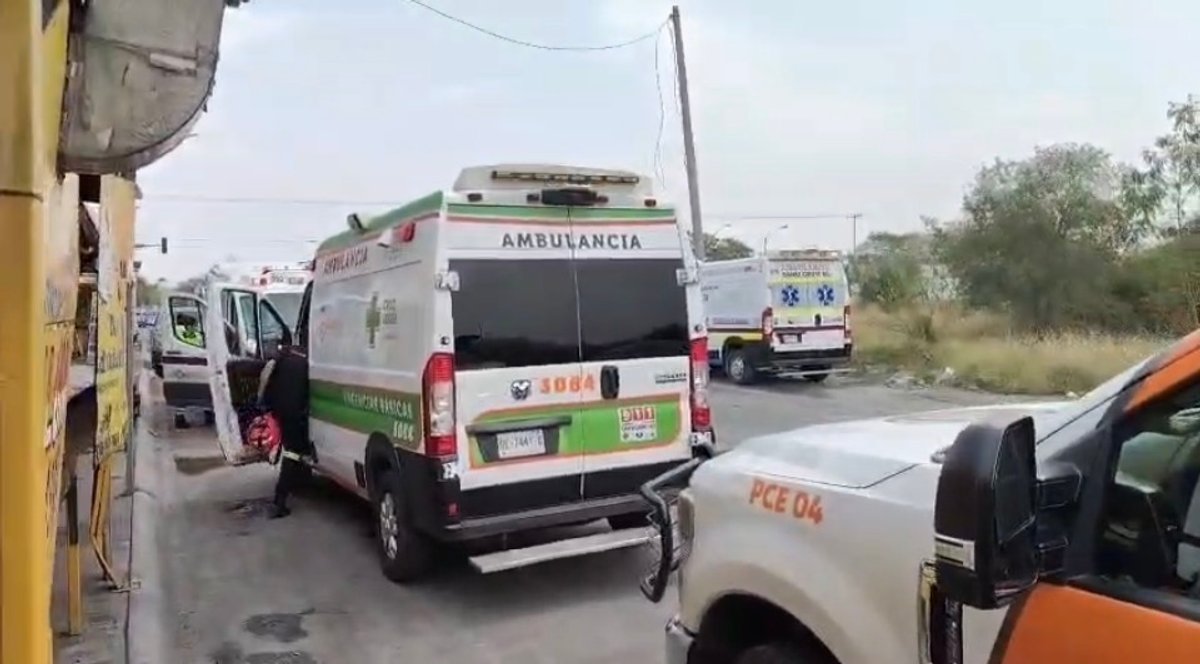 🚩 ¿Hay un experto en abejas que no le dijo a Guadalupe qué...