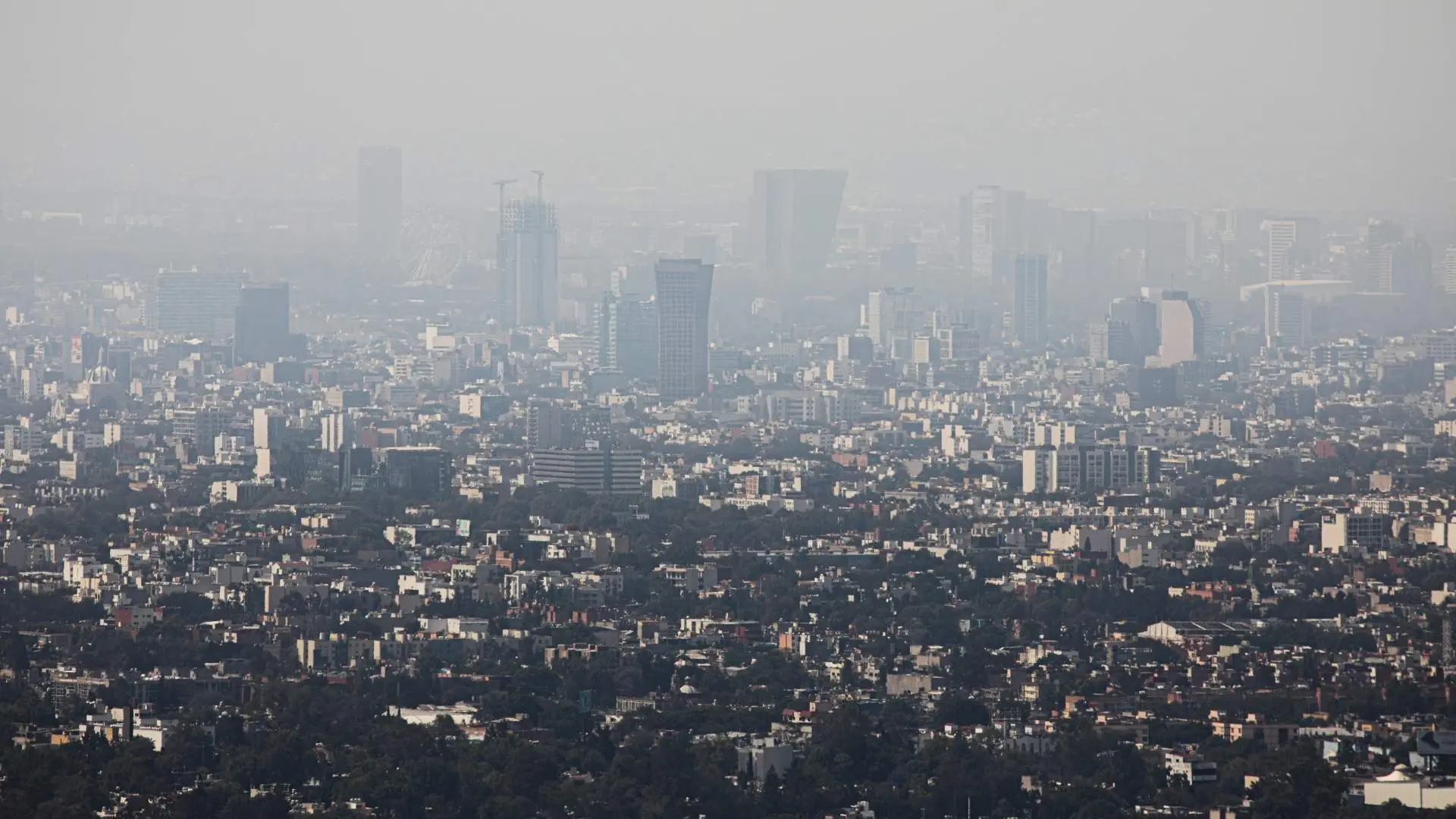 No te pases, ¿CDMX tiene plan B contra el smog? 🚩