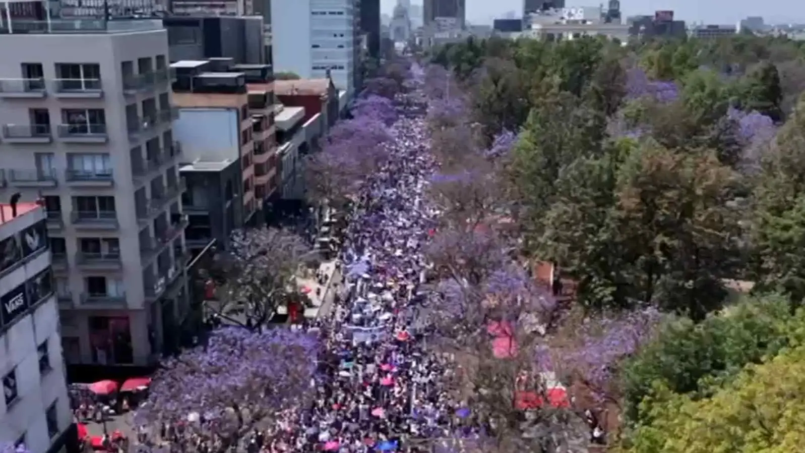 ¿Cuántas mujeres hicieron de las ovejas negras y se quedar...