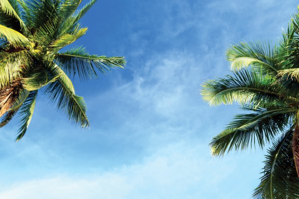 ¿Estamos Listos para el Desastre? 🌪️ 3/4 de la Ciudad Suda...