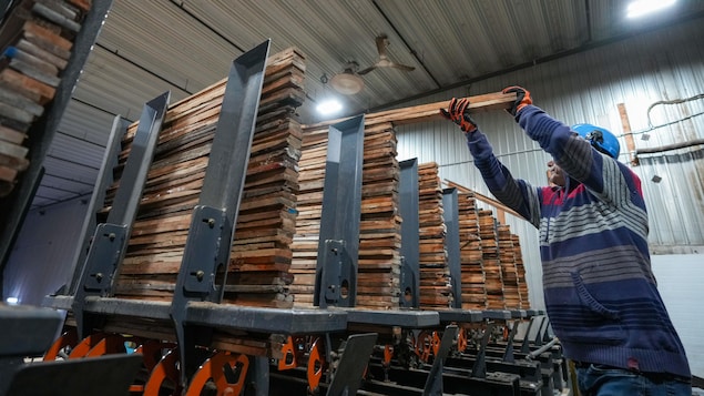 ¿Te vas a quedar sin trabajo? Canadá sube al 6.7% de desem...