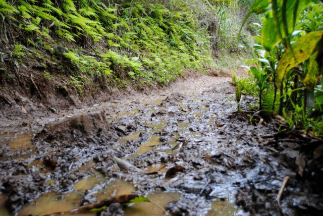 ¿Alguien Paga por Tu Dato, o Solo Te Roba la Habilidad?</h...