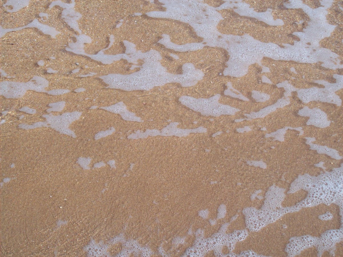 🤡 ¿Tu inversión en cripto es solo un chivo expiatorio?