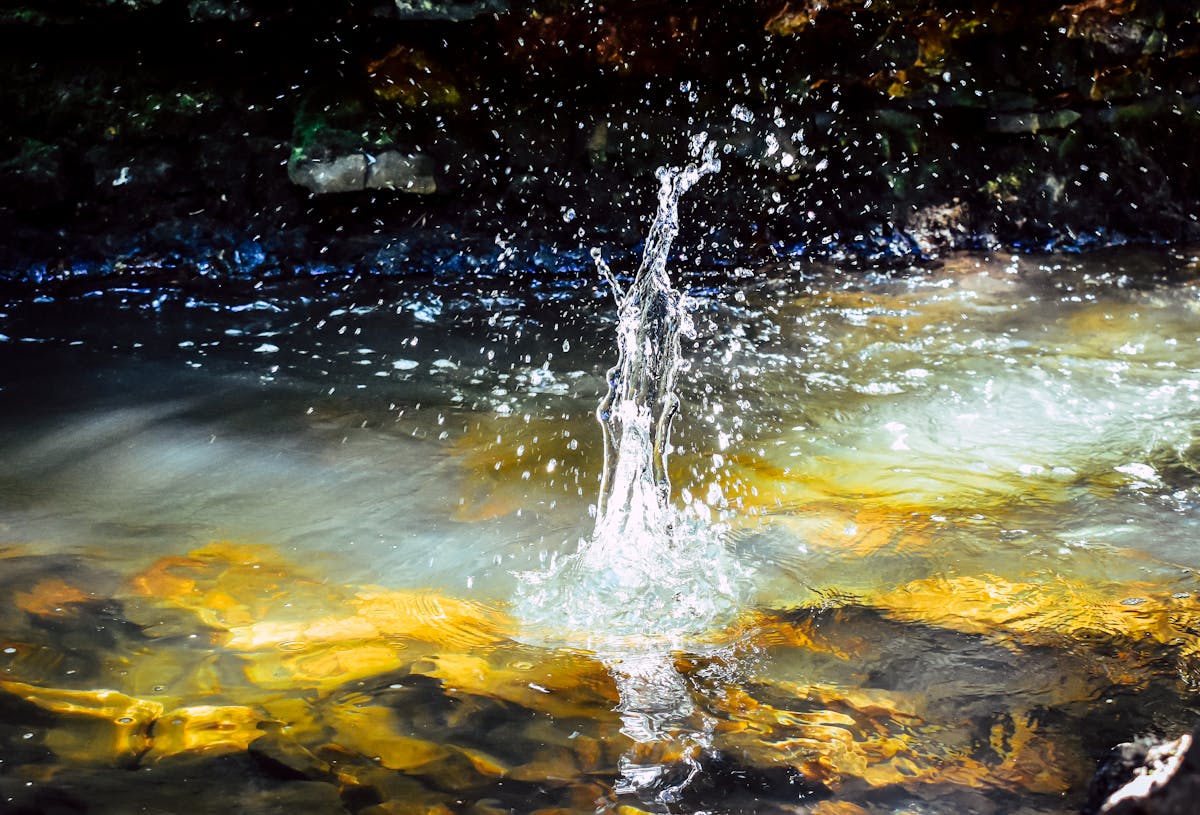 ¿Taquitos con Ciberseguridad o Solo Taquitos? 🍿