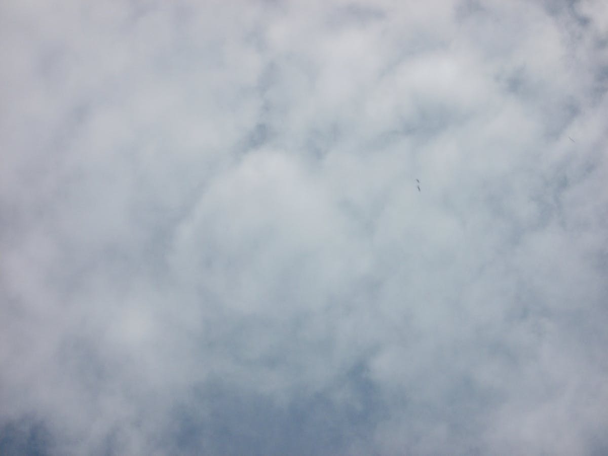 ¿Eidevin López Tiene Ciberseguridad o Solo Almacena Fotos ...