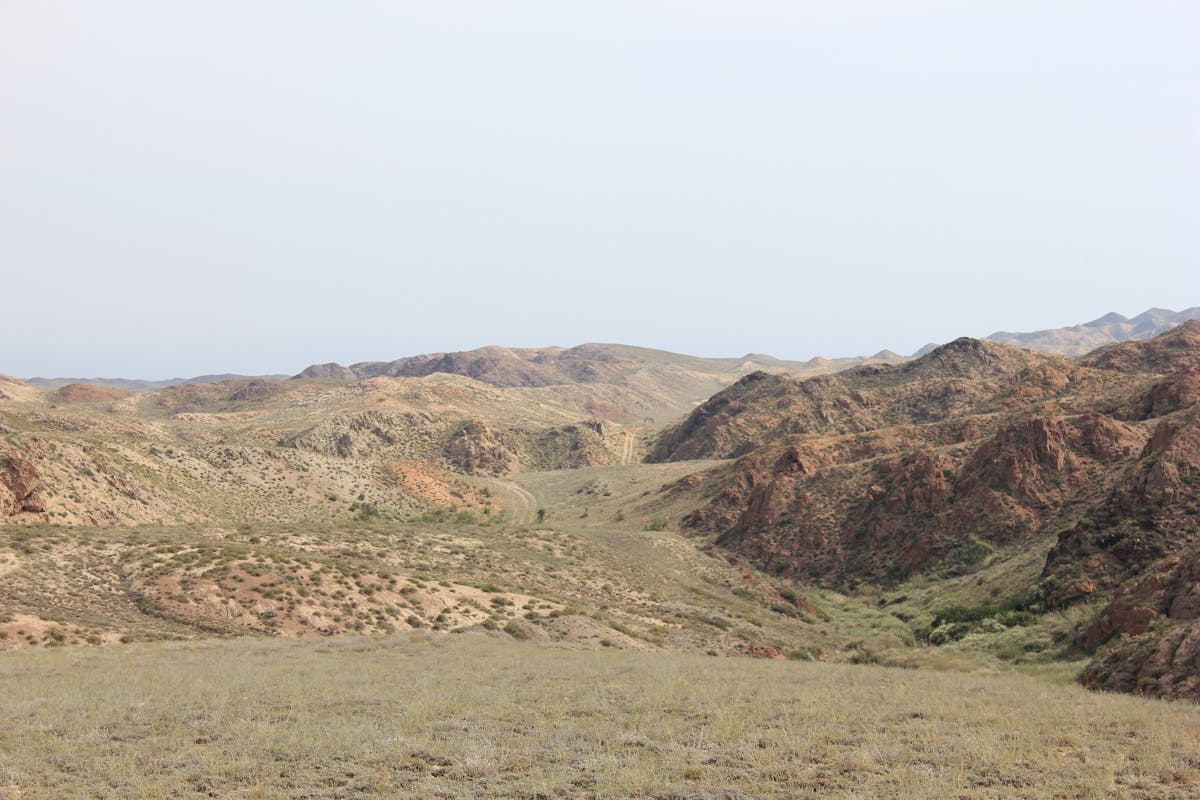 ¿Educar para la Justicia o Solo para la Renta?