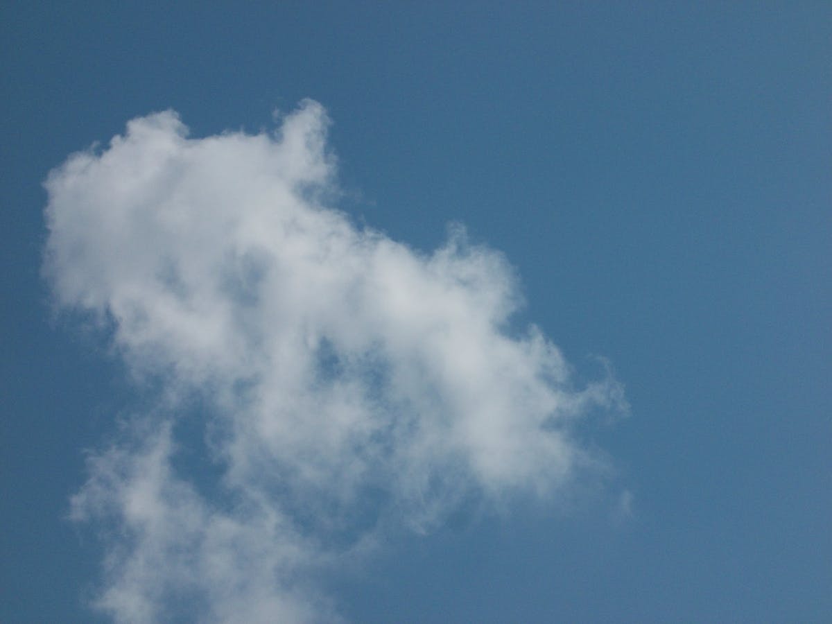 ¿Se Sobra o Se Salva? 🚨 76 Pruebas Dicen Cómo Bajar Los An...