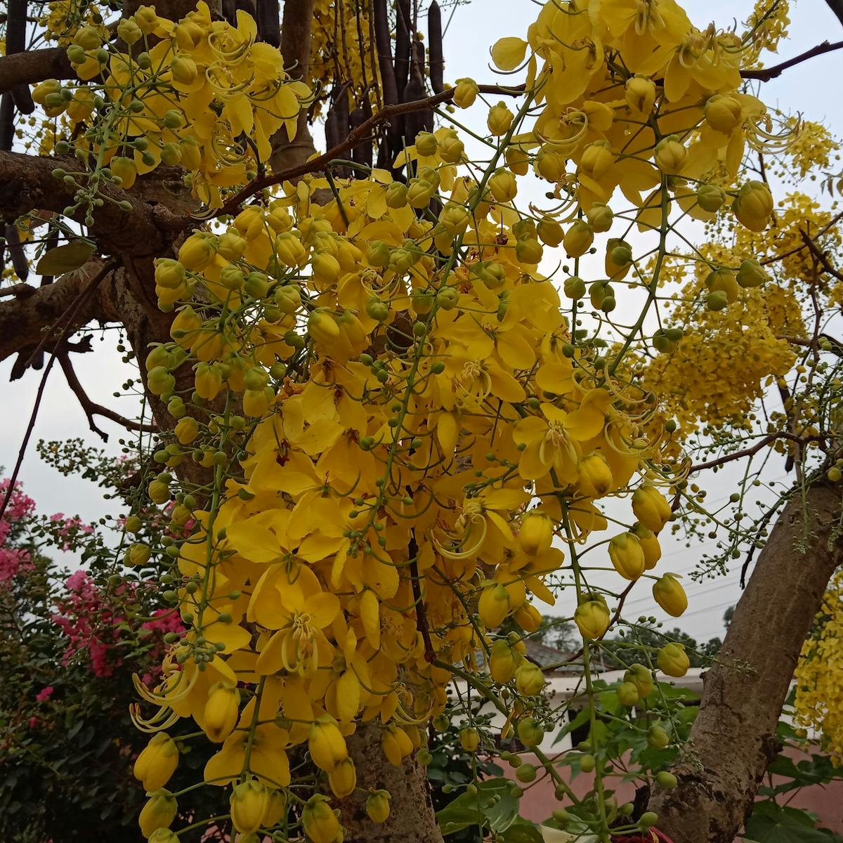 🎵 ¿Tu concierto virtual es más epico que la vida real?