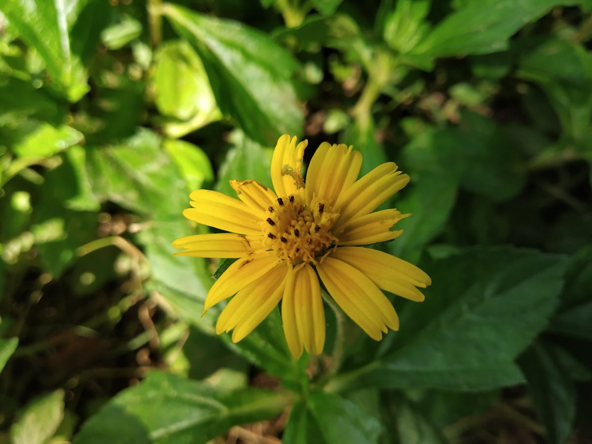 ¿Se Tiene que Decir y Se Dijo? 5 Errores Cómicos en la Imp...