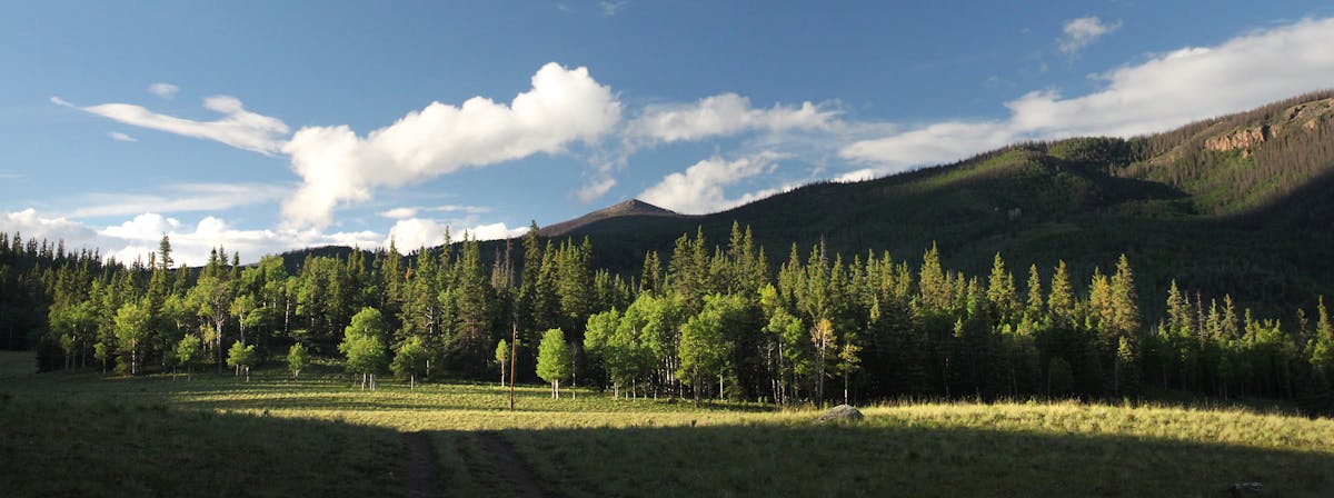 ¿Gmail Ya No es Gratis? Esto Es Neta 🚩