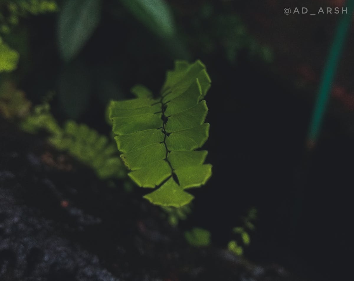 🚩 ¿La justicia se queda sin voto o solo se aplaza?