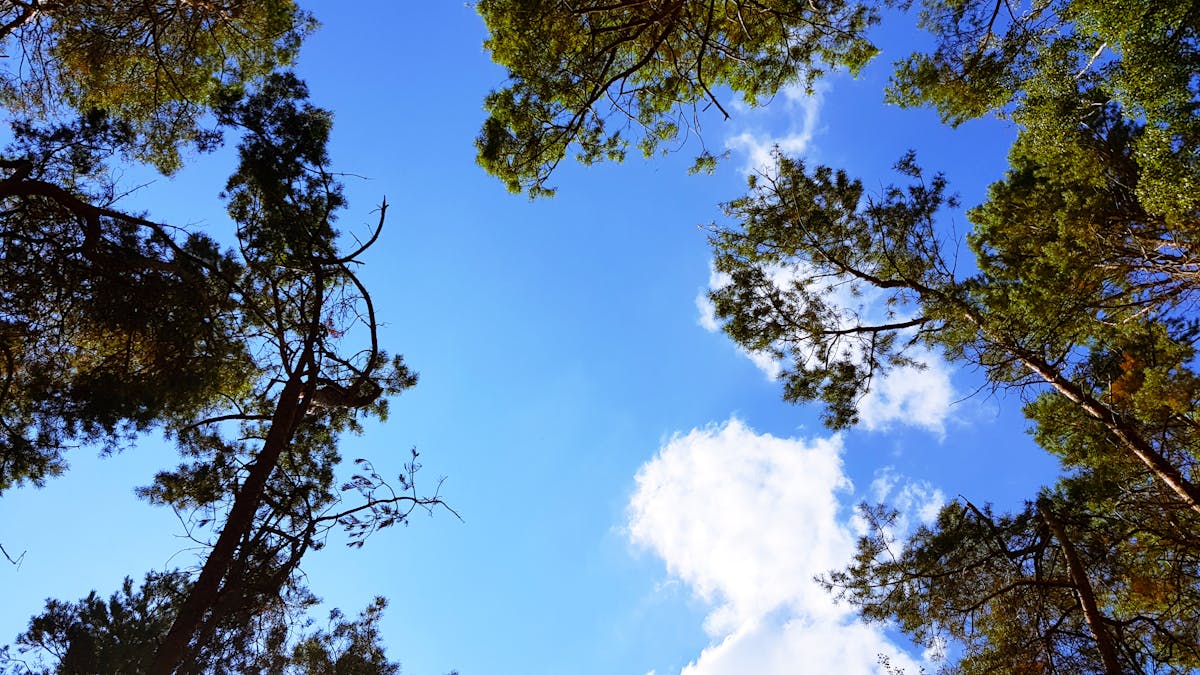 ¿La UAEM Paga al Exfutbolista o Solo Es un Preste a Contra...