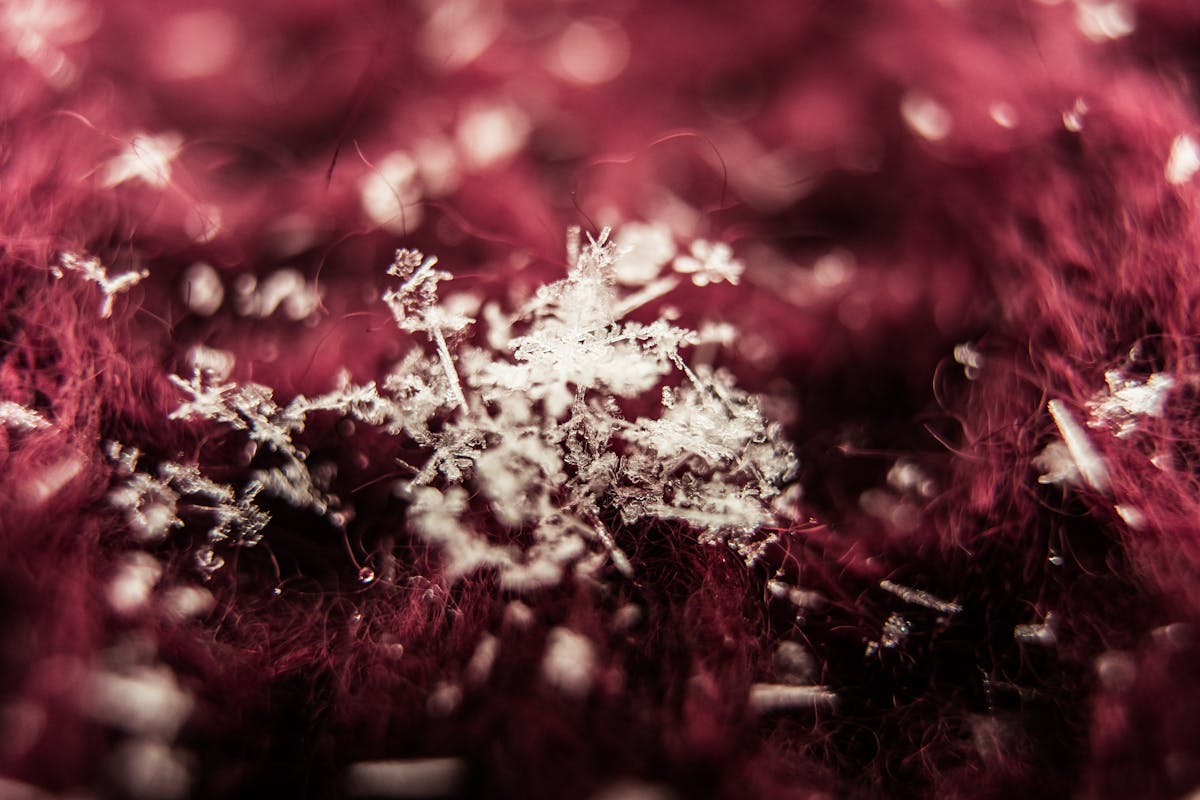 Esto es oro 👀: ¿La belleza puede salvar al D.F.?