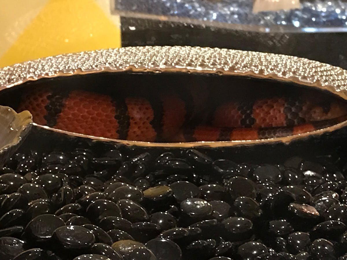 ⛈️ ¿La Granizada de Bogotá Es el Último Aviso antes del Fi...