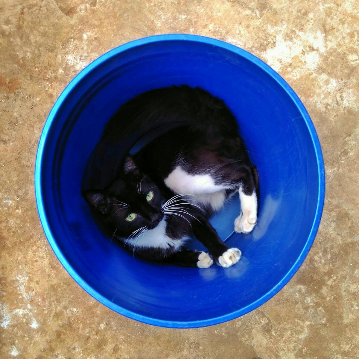 🤔 ¿Dudas Confianza o Solo Eres Un Desesperado?