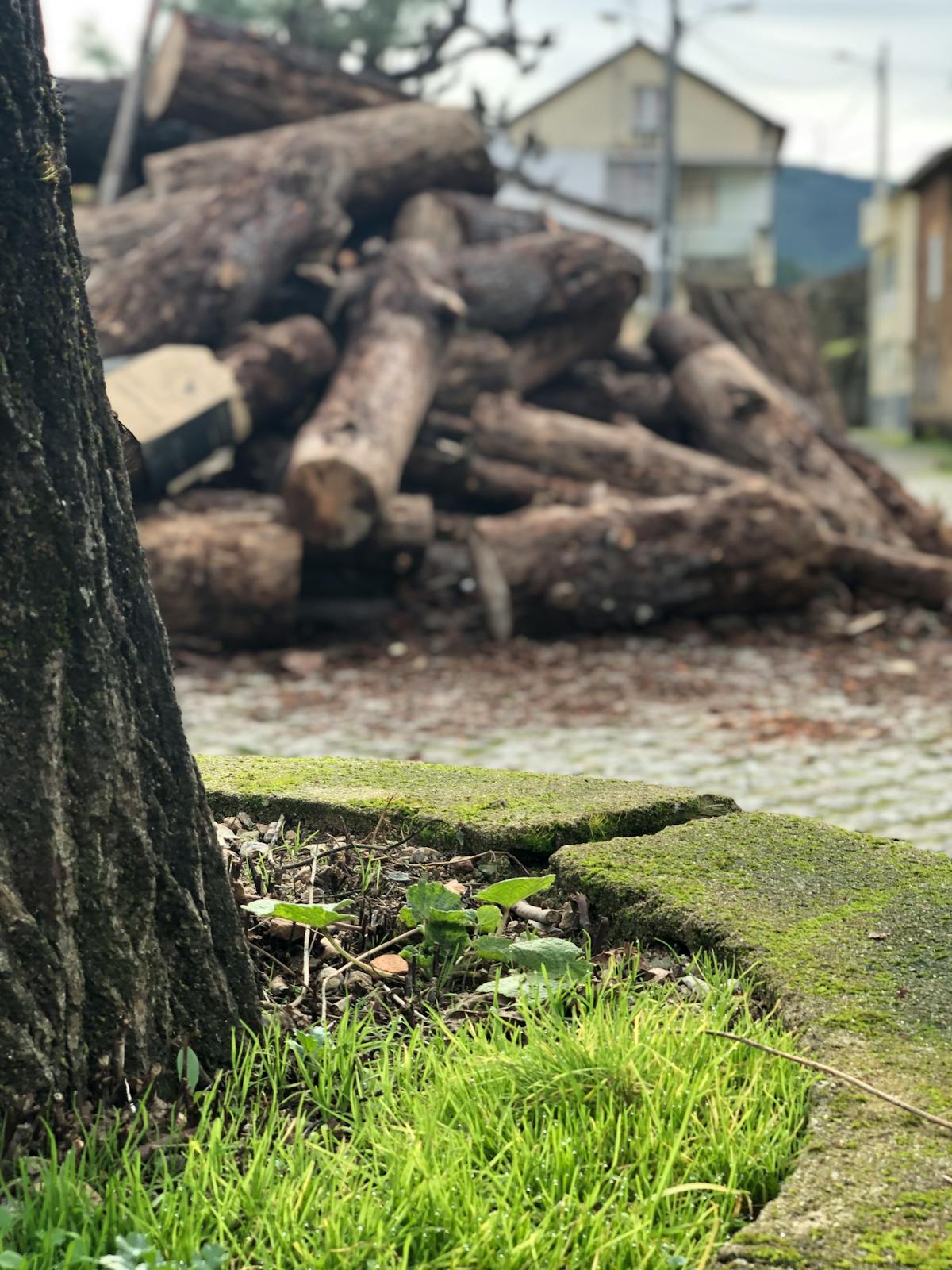 ¿Demolición sin cuestionamientos? ¡Esto es oro! 🚩