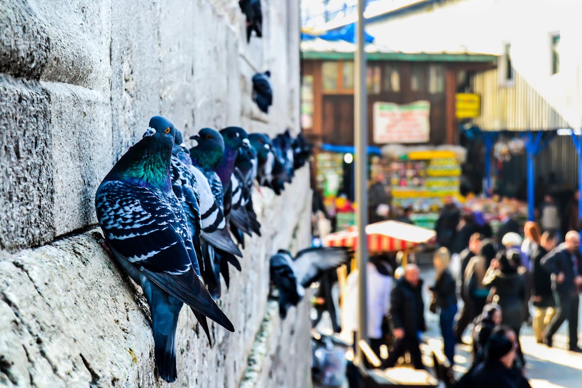 ¿Tu Gimnasio Es tan Seguro como Tu Ex?</hassistant