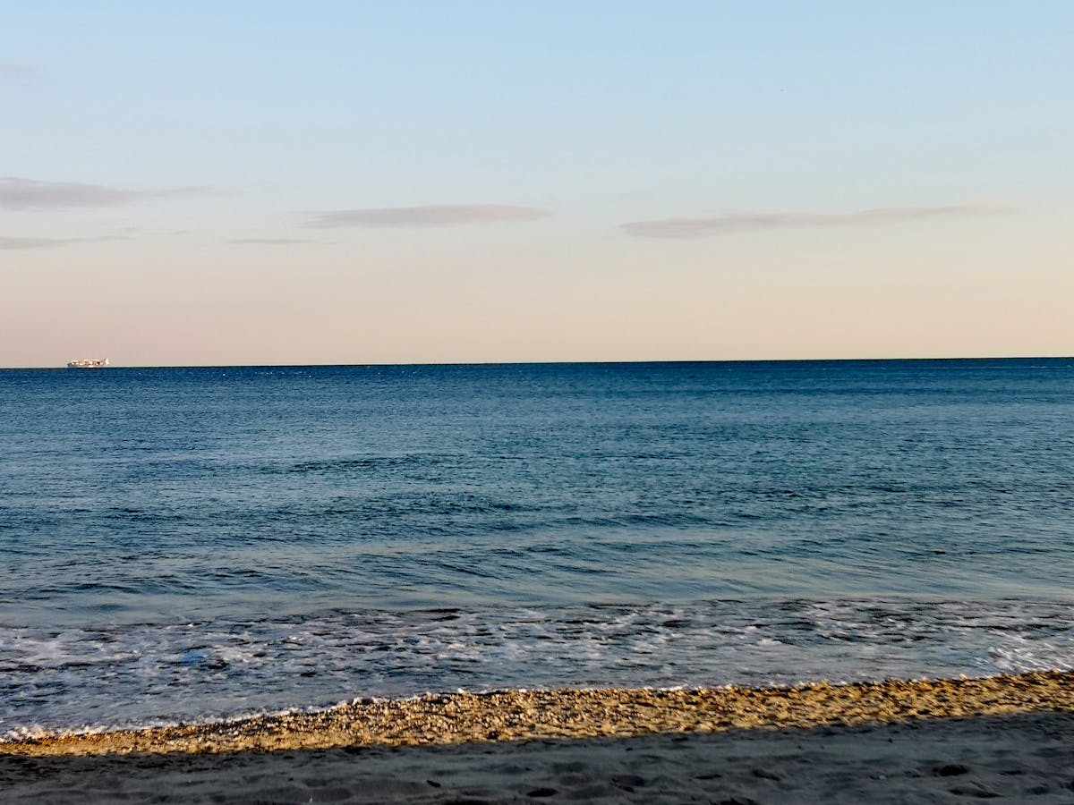 Matute se Rentó: ¿Es Esto el Fin de la Música Mexicana? 💸🤷‍♀️