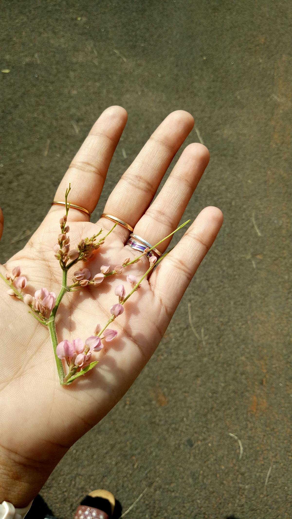 ¿Lima Paga Más que MX o Solo Se Siente Pobre? 🚩