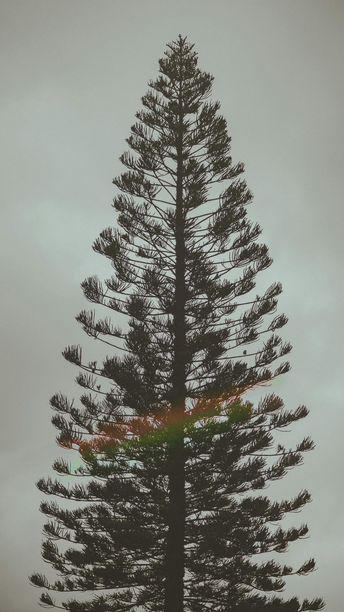 ¿Te Importa si Tu Influencer Tiene Blockchain o es un Esqu...