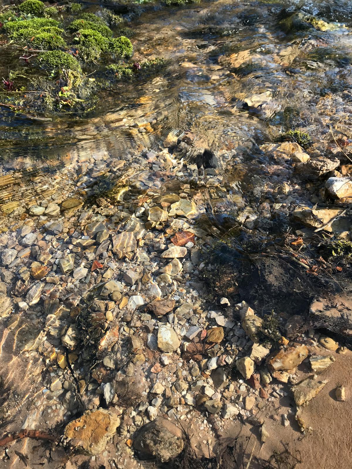 ¿Qué pasó con la salud de tu mamá durante el mes de la muj...