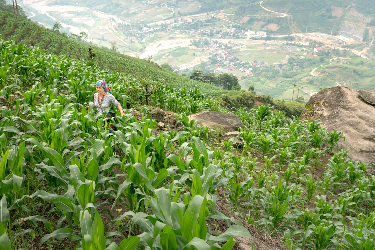 🤡 ¿100 mil soldados y ayuda de USA? ¿Pero y el resto del p...