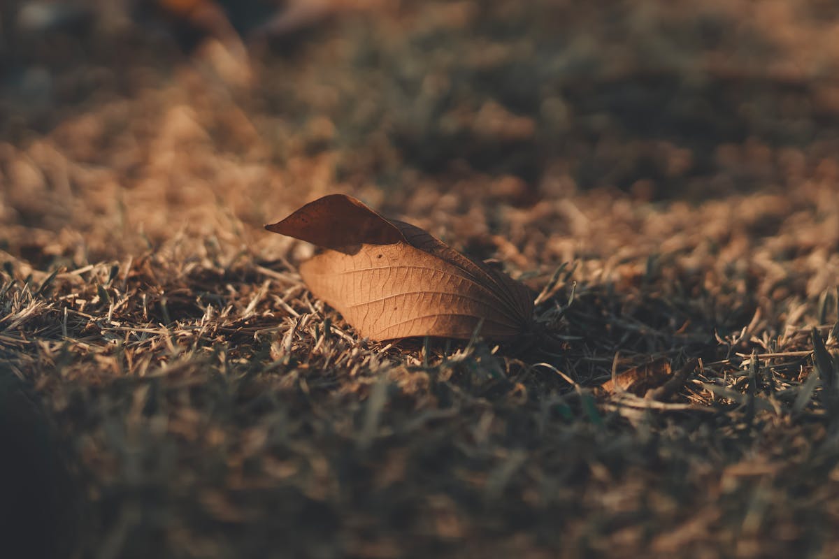 🤖 ¿Te Dices que Confías en Microsoft? ¡La Prueba Es Ahora!...