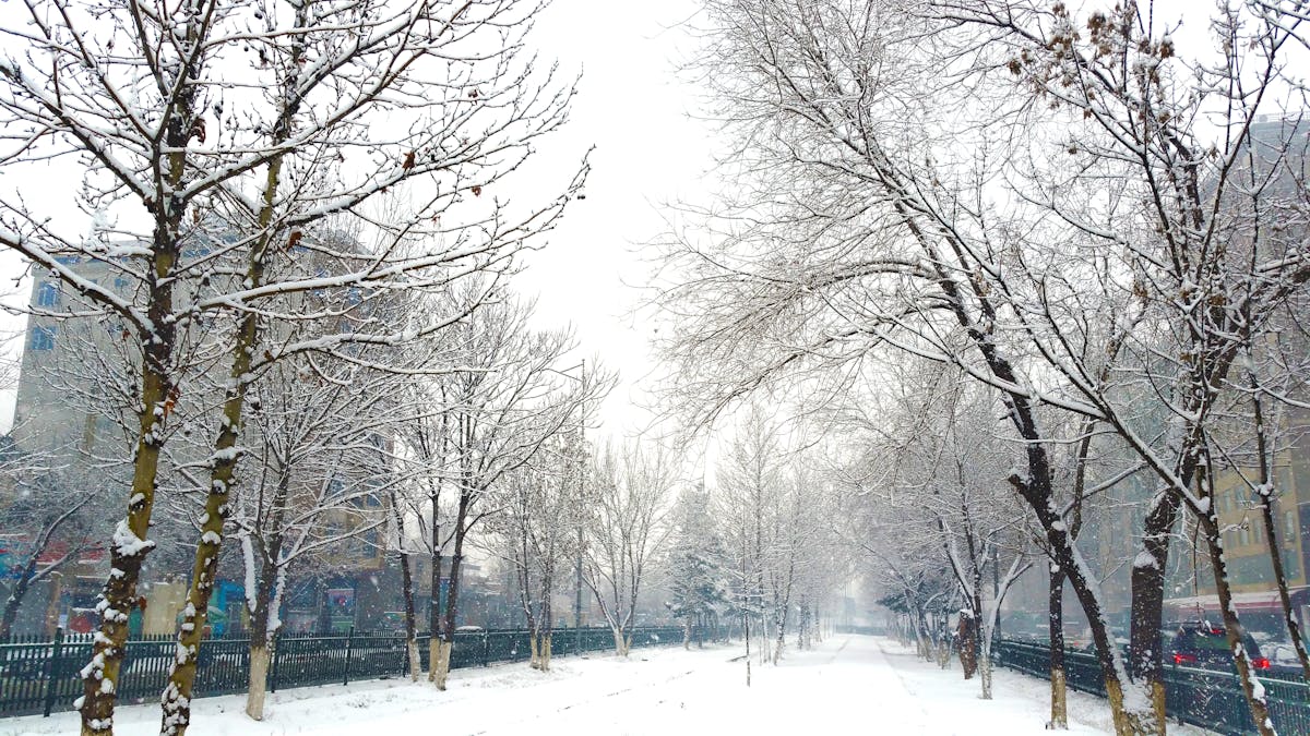 🚩 ¿La Guerra Electrónica es el Nuevo Enemigo de la Segurid...