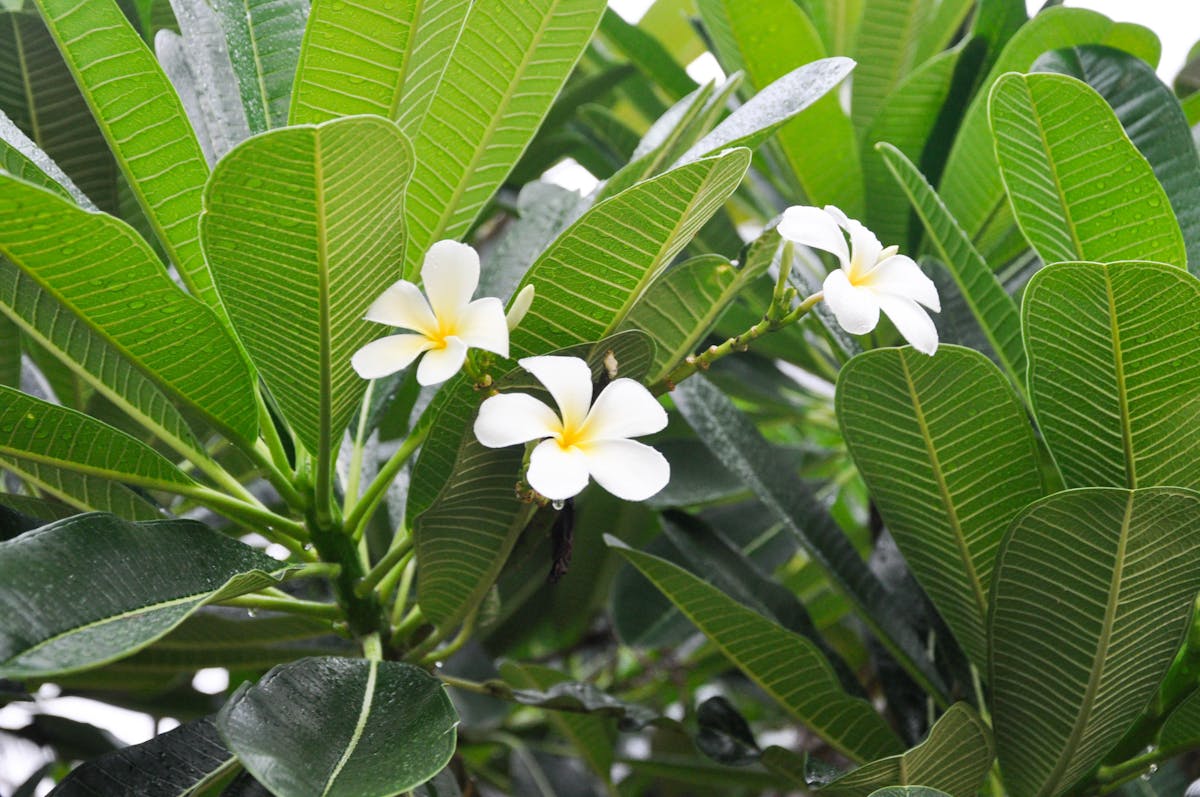 ¡No te pases! Ricky Martin se llevó a la exreina de bellez...