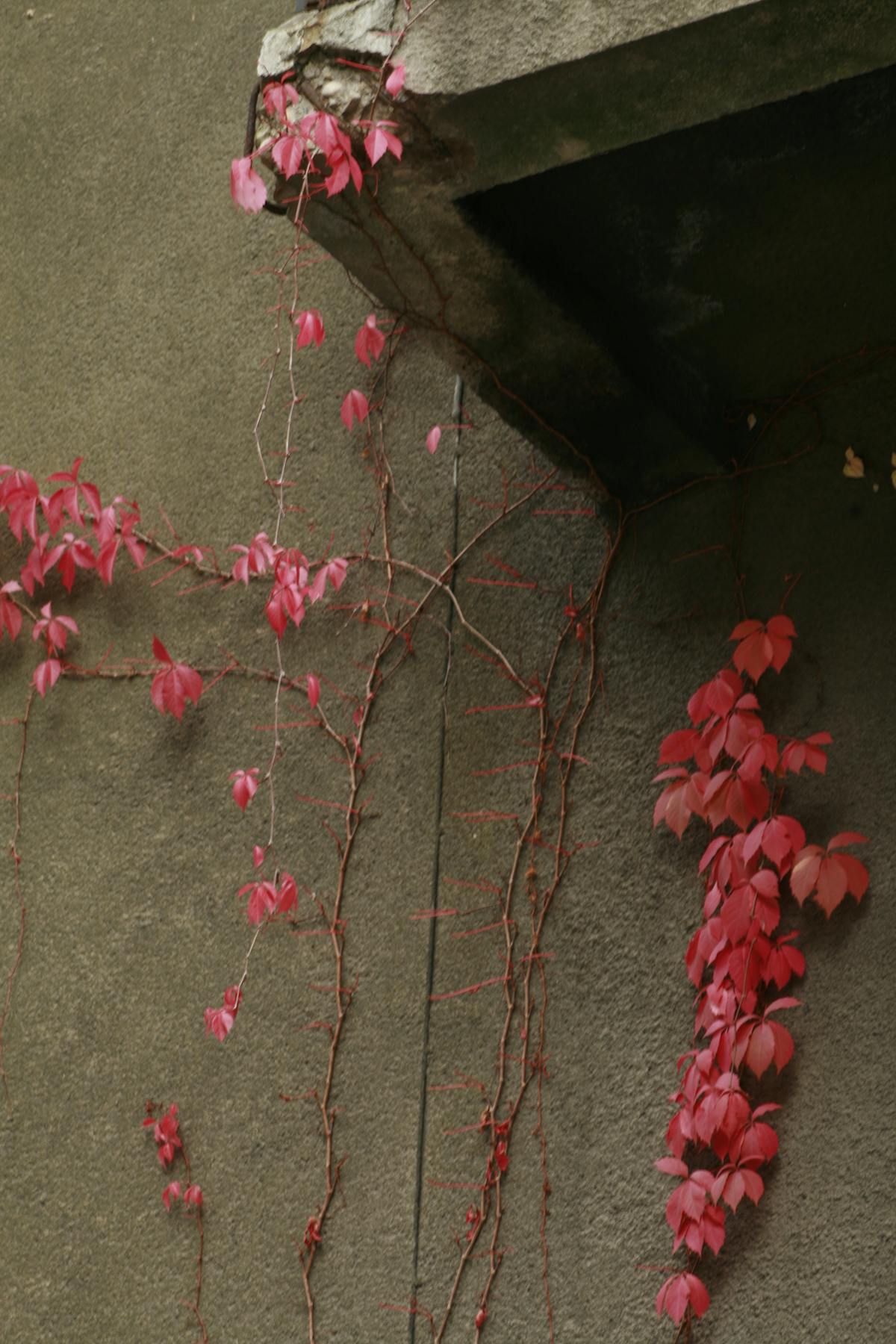 ¿Dónde y a qué hora van a transmitir los Octavos de Final ...