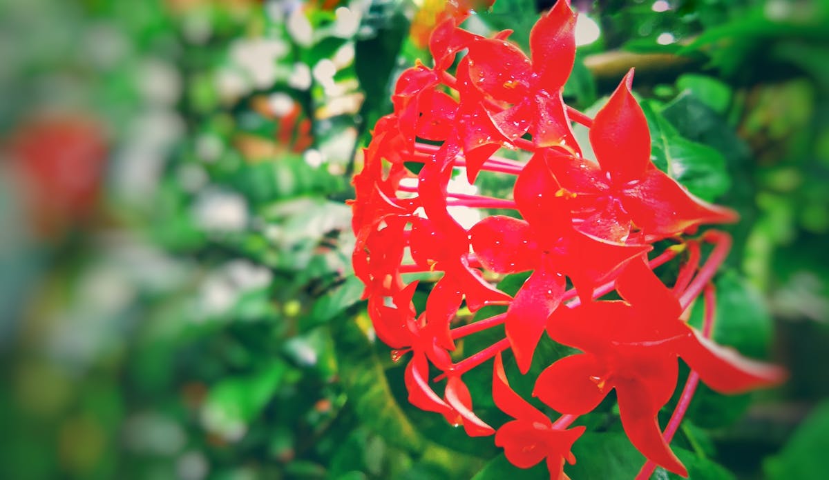 ¿Remesas de locos o consejos de la vida? 🚀