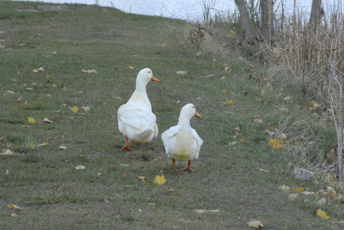 🚩 ¿Tu Gmail Tiene Privacidad o Solo Es Un Hack a Tu Vida?...