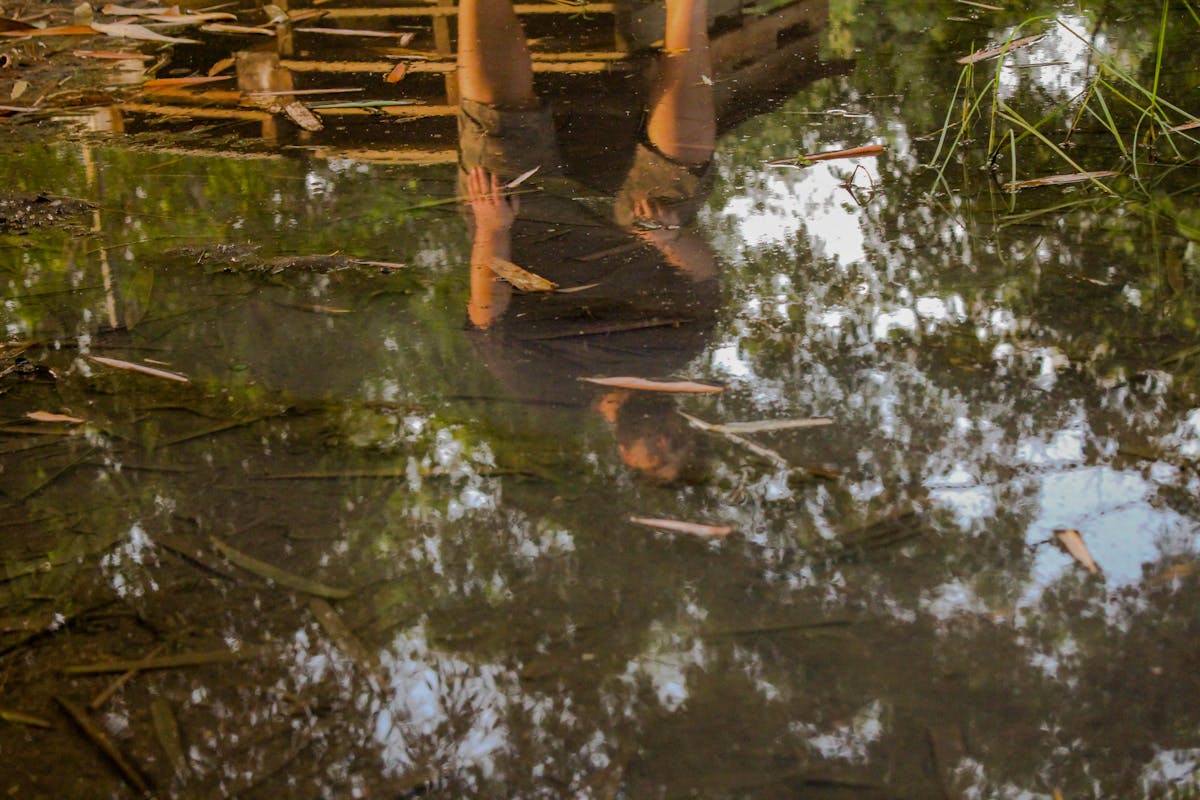 ¿Llevan tus hijos a la Escuela de los Gusanos?