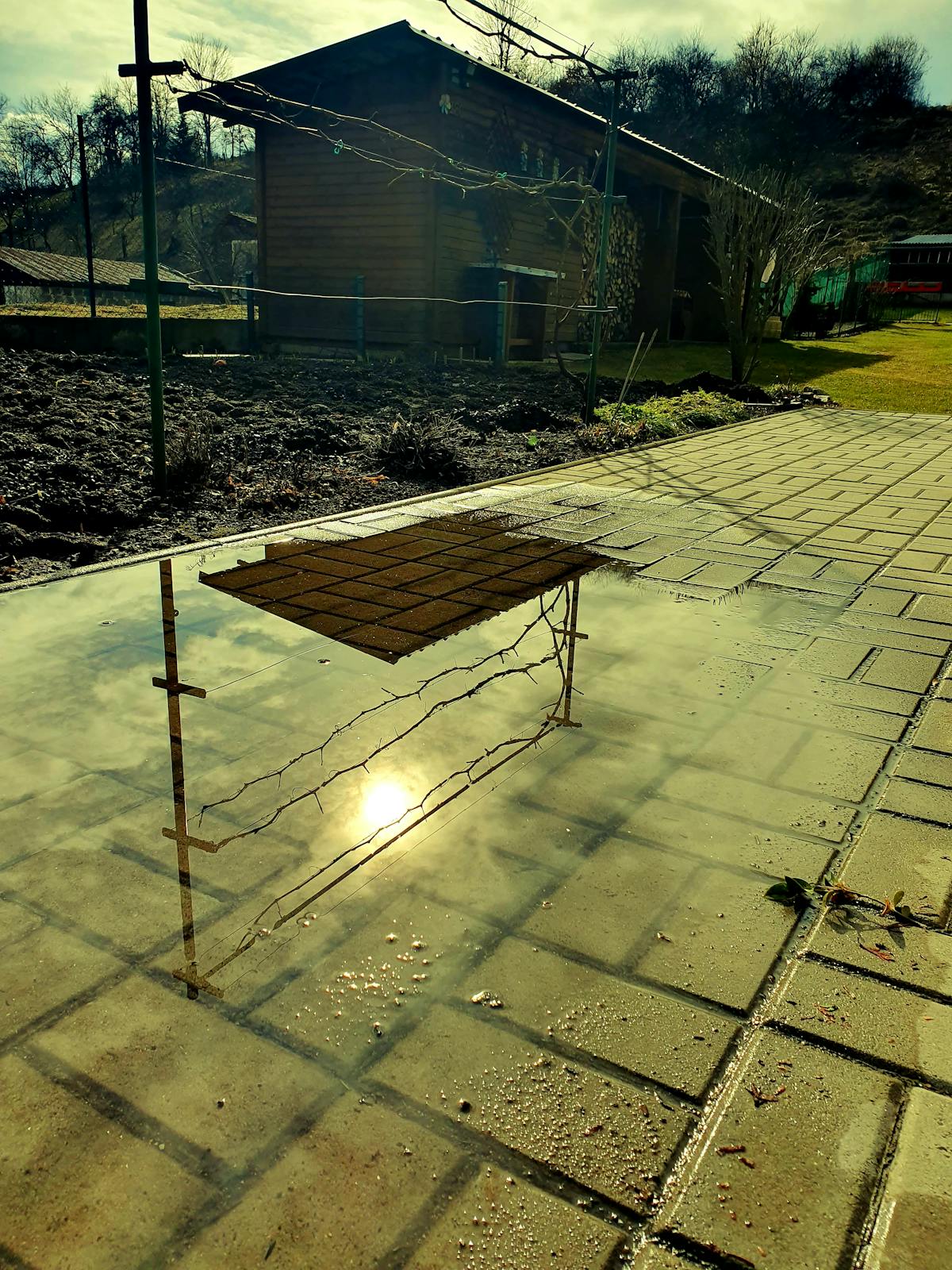 🚩 ¿Qué pasa si YouTube te roba tus datos mientras miras el chi...