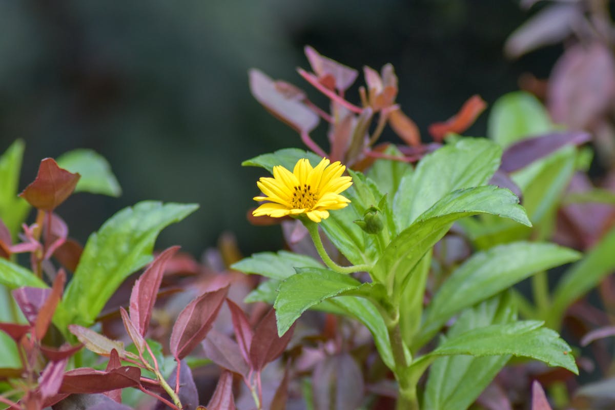 ¿Tu Novio Tiene Amantes Ocultos en la Nube? 🚩 #NoTeFinges