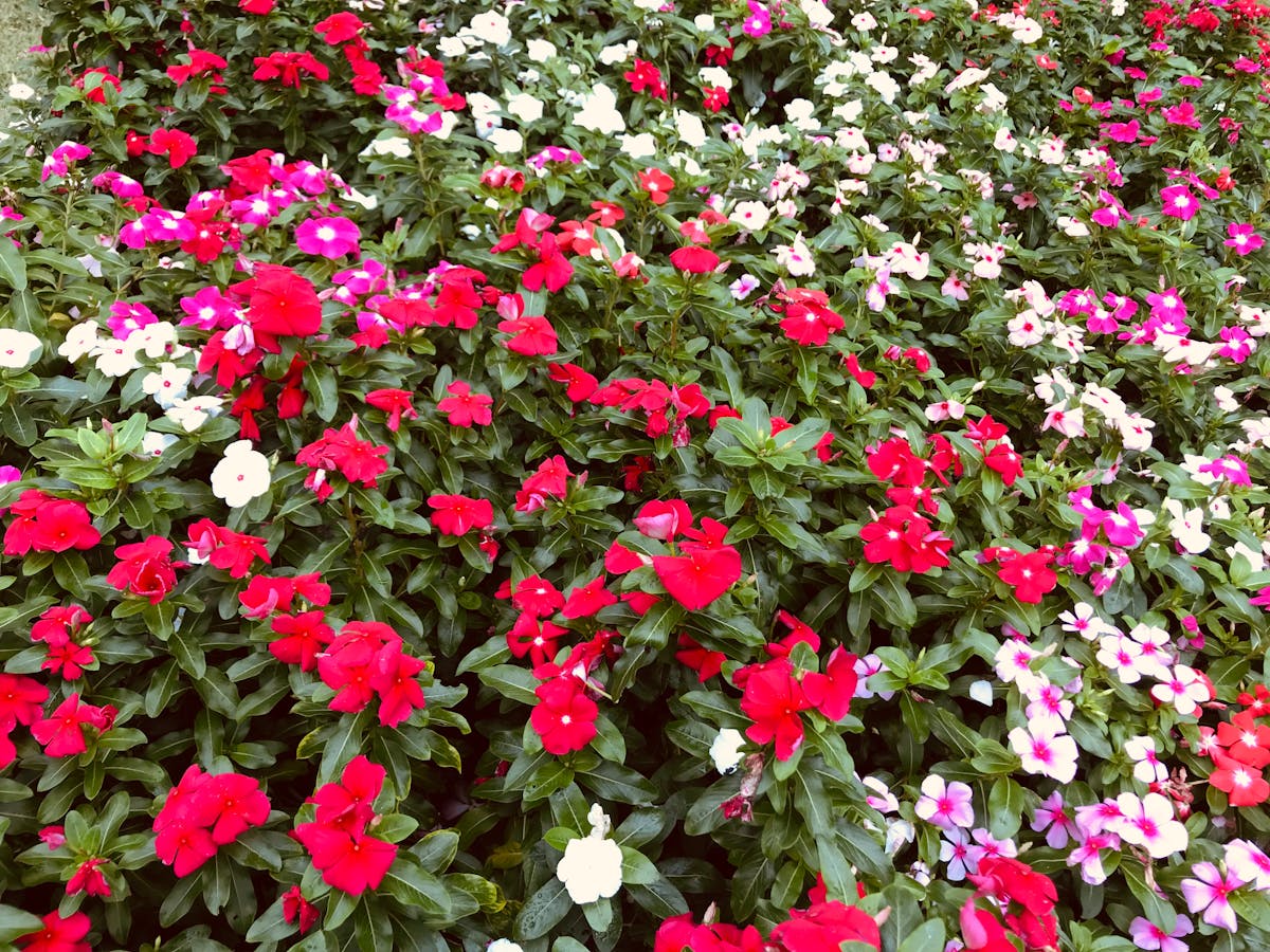 ¿Ni siquiera saben qué es un balcón legal? 🚩