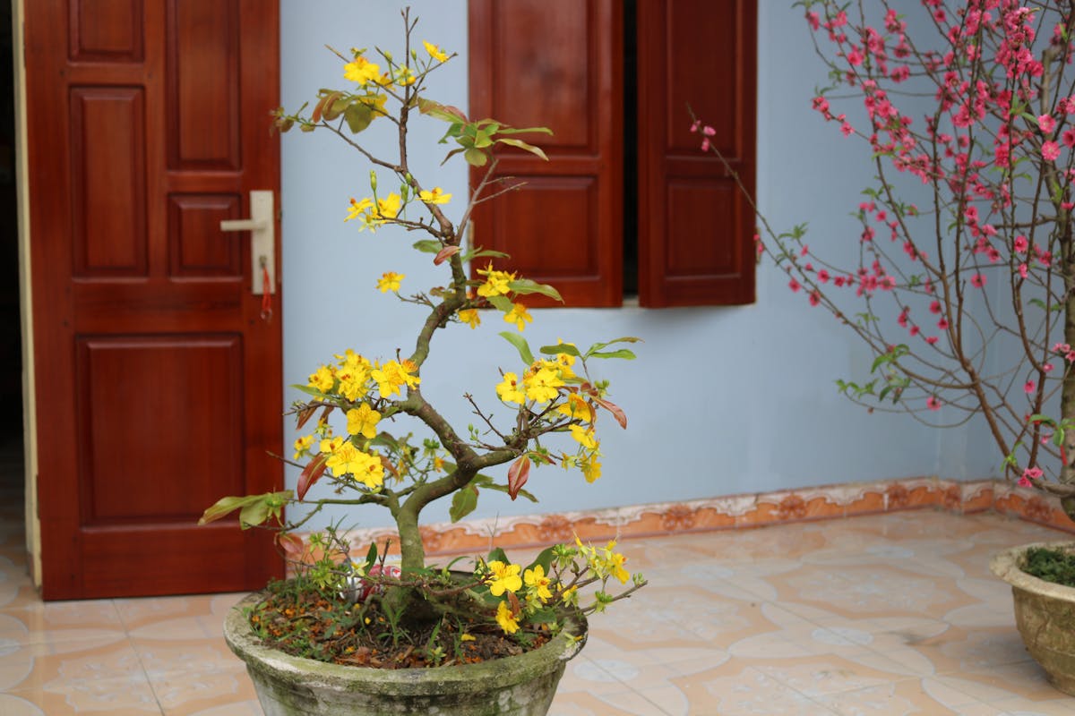 ¿Al chile, qué tan bien conoces a un terrorista disfrazado...