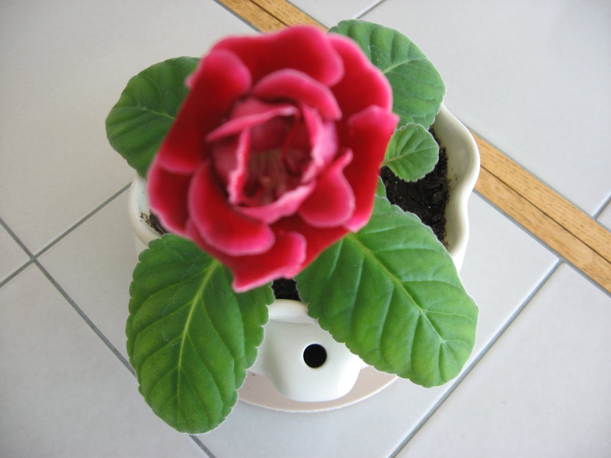 Malagón Se Entera de lo que Cuesta un Golpeazo ⚡️ ¡15 mill...