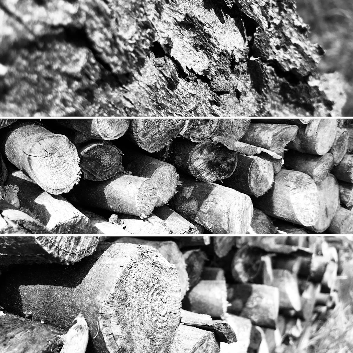 ¿Tu Cuenta de TikTok Está Segura o Solo Es Un Juego de Poder? 🚩