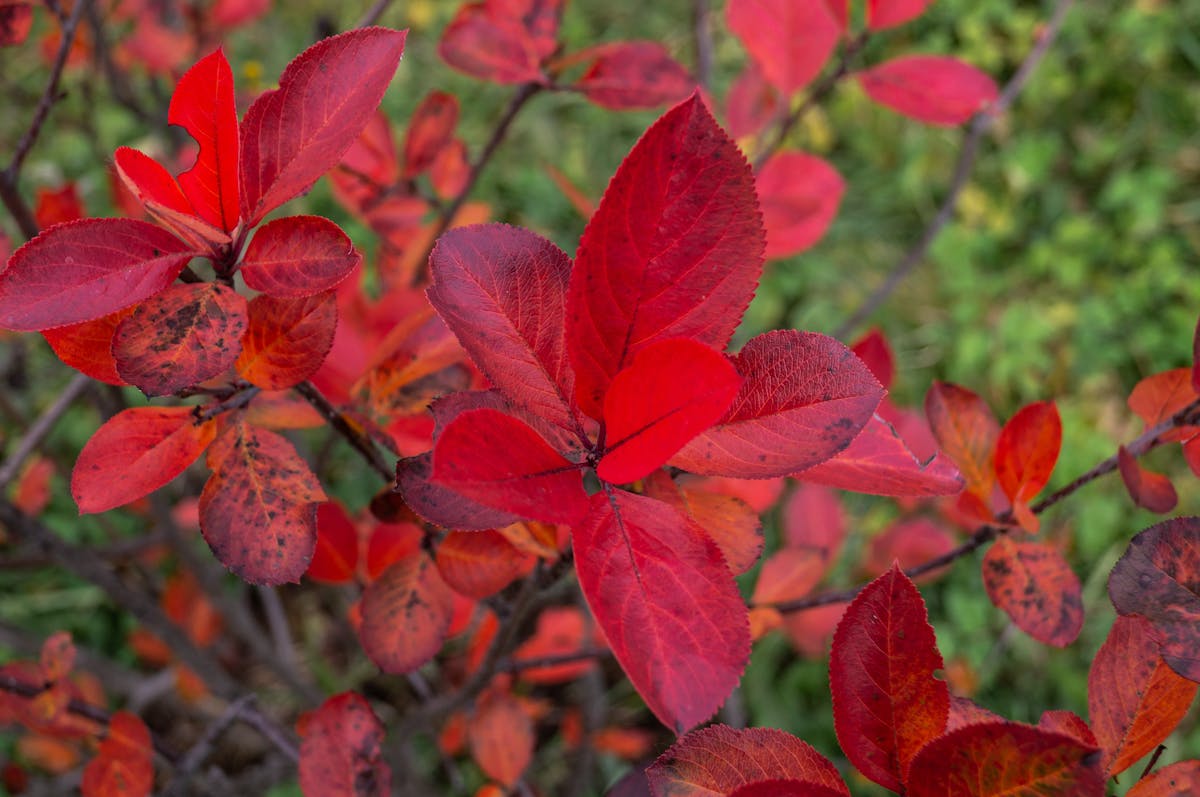 ¿Echo Generation 2 es el nuevo Black Mirror o solo una est...