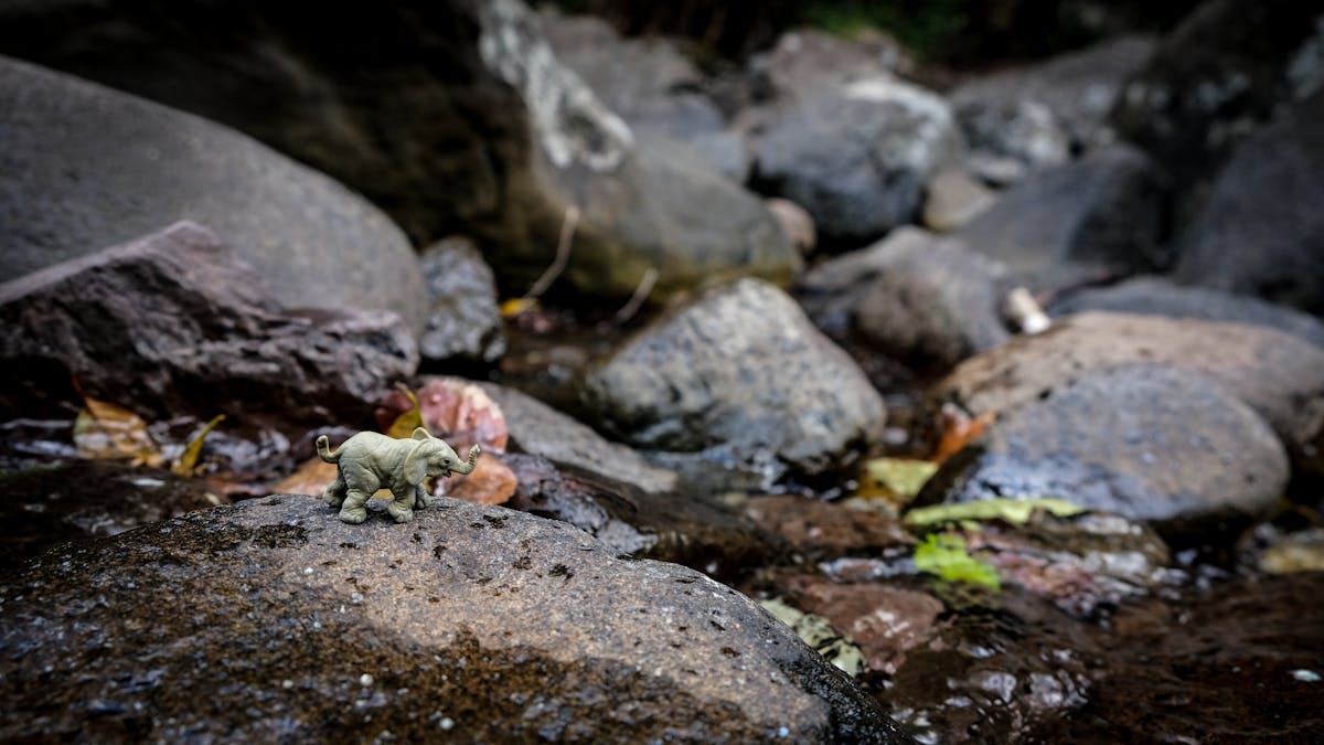 ¿Tu Cuenta de Correo Es Una Trampa o Solo Eres Desatento? 🚩
