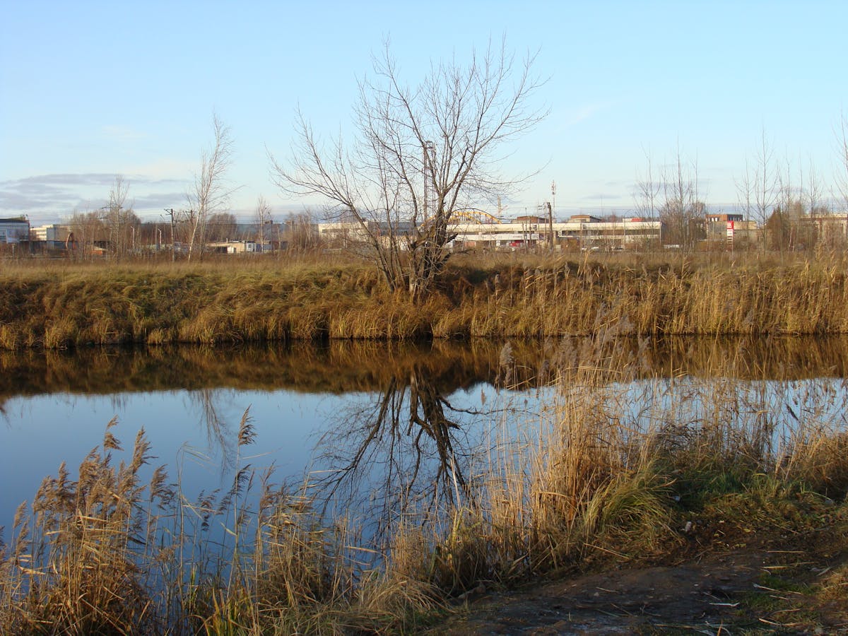 ¿Pochettino va a salvar al Real Madrid o Solo es un Juguet...
