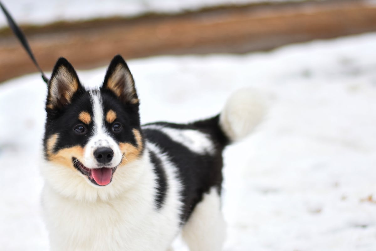 ¿Al Chile o No Al Chile? 10 Herramientas de Cloud Computin...