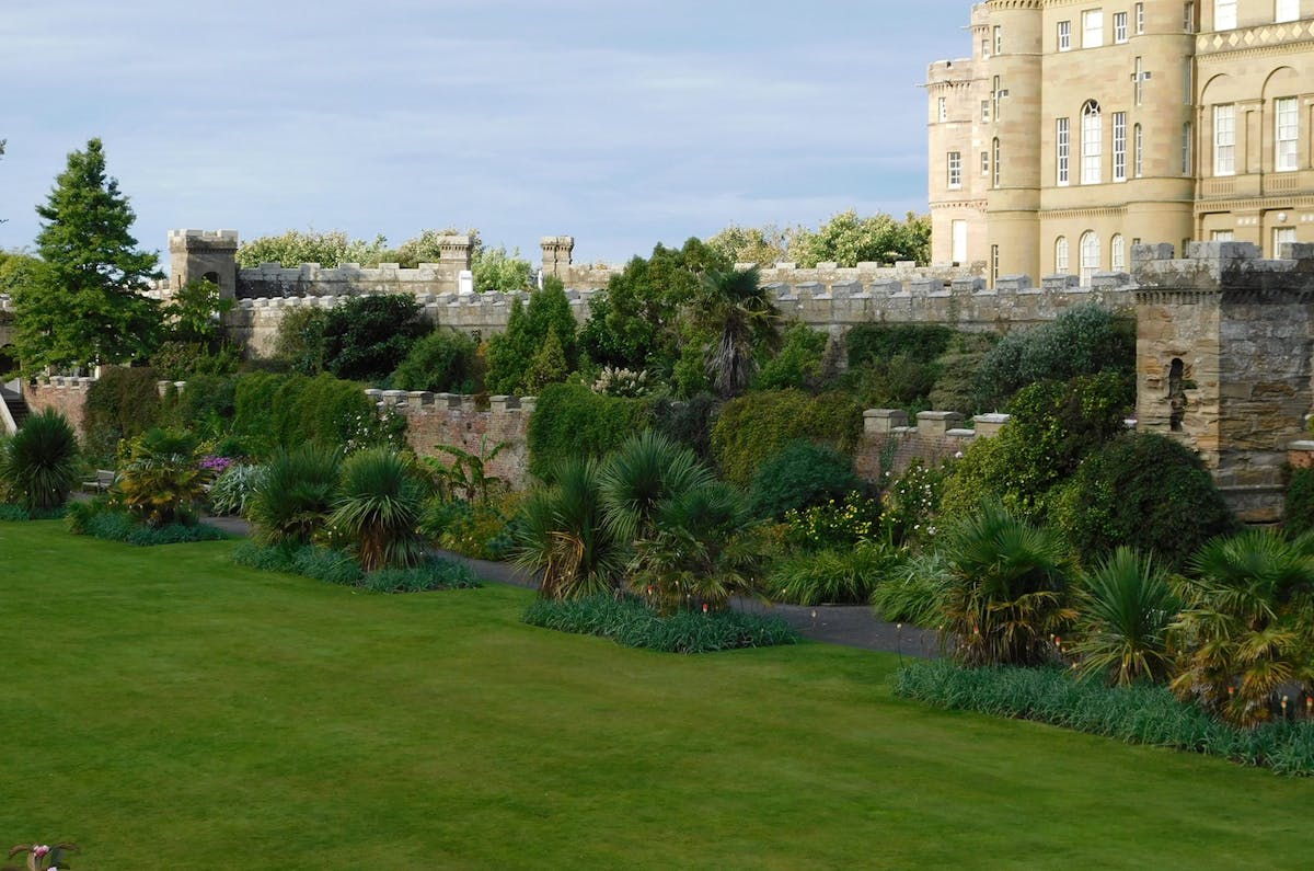 ¡Te lo Resumo! AliExpress: Ofertas de locura o oportunida...