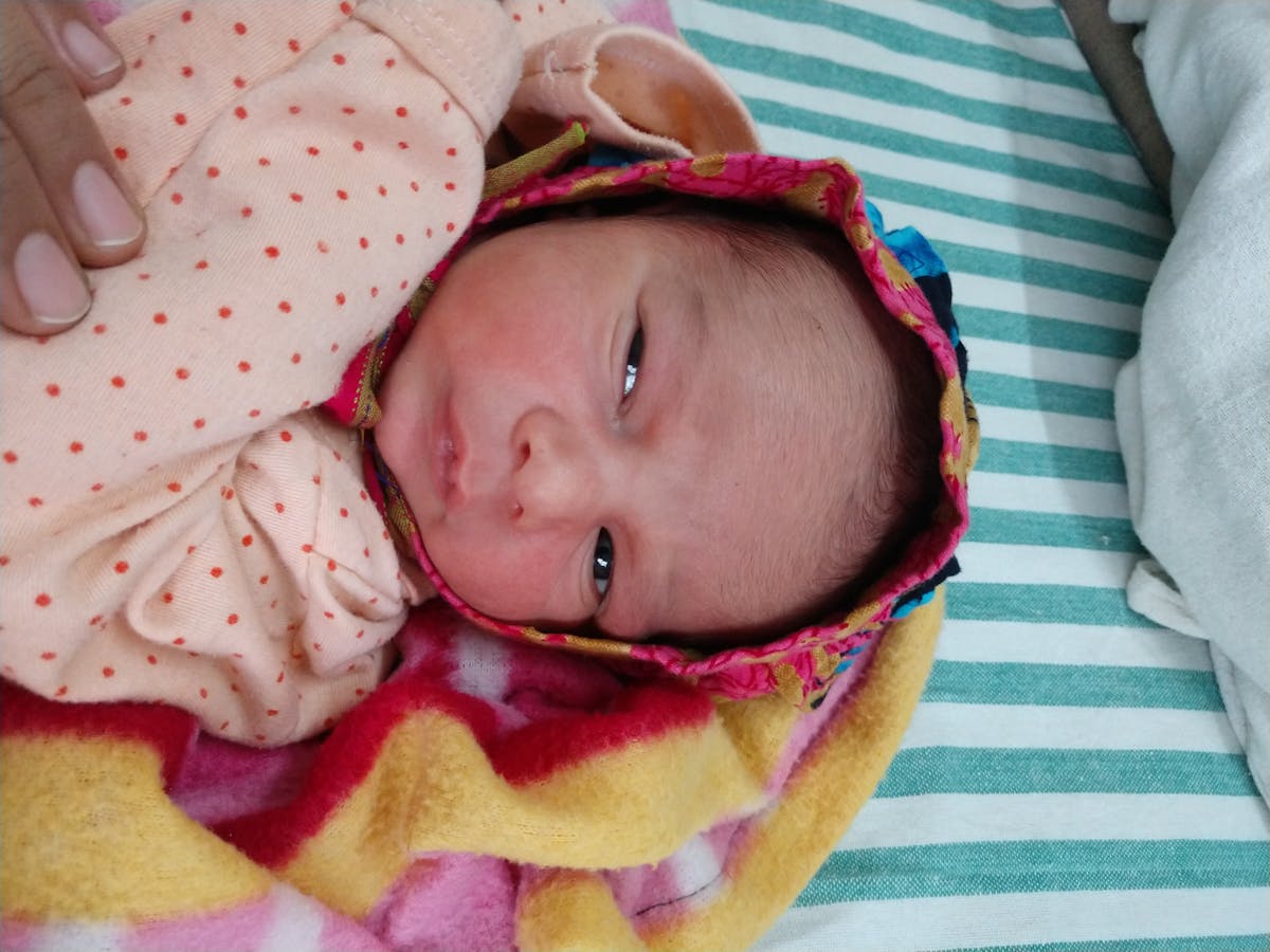 ¿CNTE y SME Se Quedaron Sin Hype o Solo Sin Dinero?